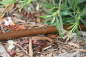 Preview: XFD Tropfrohr, Tropferabstand 33 cm, Durchflussmenge 2,3 l/h, 100 m Rolle