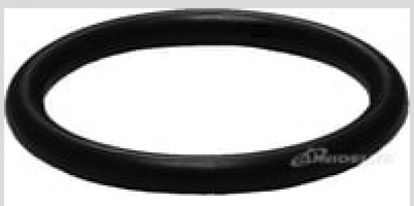 PP 16 O-Ring-Dichtung aus NBR